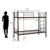Nilkamal Crossett Metal Bunk Bed (Brown)