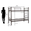 Nilkamal Crossett Metal Bunk Bed (Brown)
