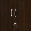 Nilkamal Crystal 2 Door Wardrobe (New Wenge & Natural Ebony)