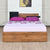 Nilkamal Delight King Bed With Storage (Knotty Wood)