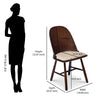 Nilkamal Bentley Dining Chair (Brown)