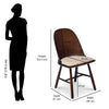 Nilkamal Bentley Dining Chair (Brown)