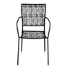 Nilkamal Erinda Metal Living Room Arm Chair (Black)
