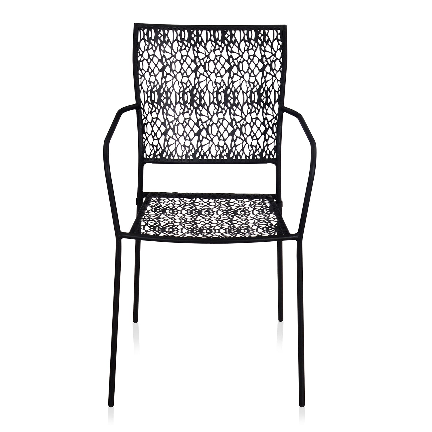 Nilkamal Erinda Metal Living Room Arm Chair (Black)