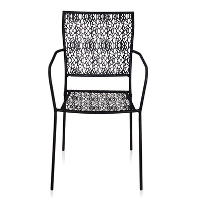 Nilkamal Erinda Metal Living Room Arm Chair (Black)