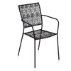 Nilkamal Erinda Metal Living Room Arm Chair (Black)