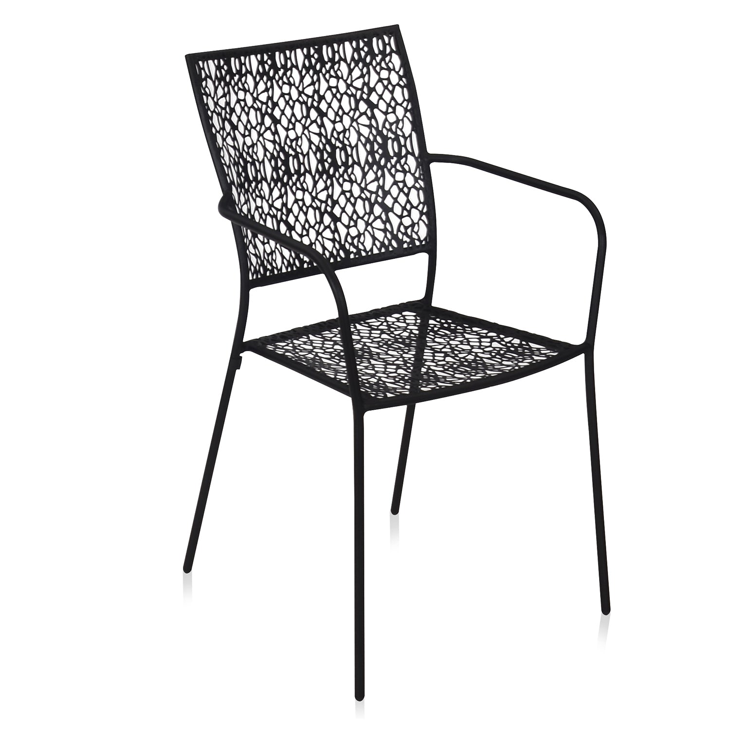 Nilkamal Erinda Metal Living Room Arm Chair (Black)