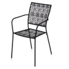 Nilkamal Erinda Metal Living Room Arm Chair (Black)