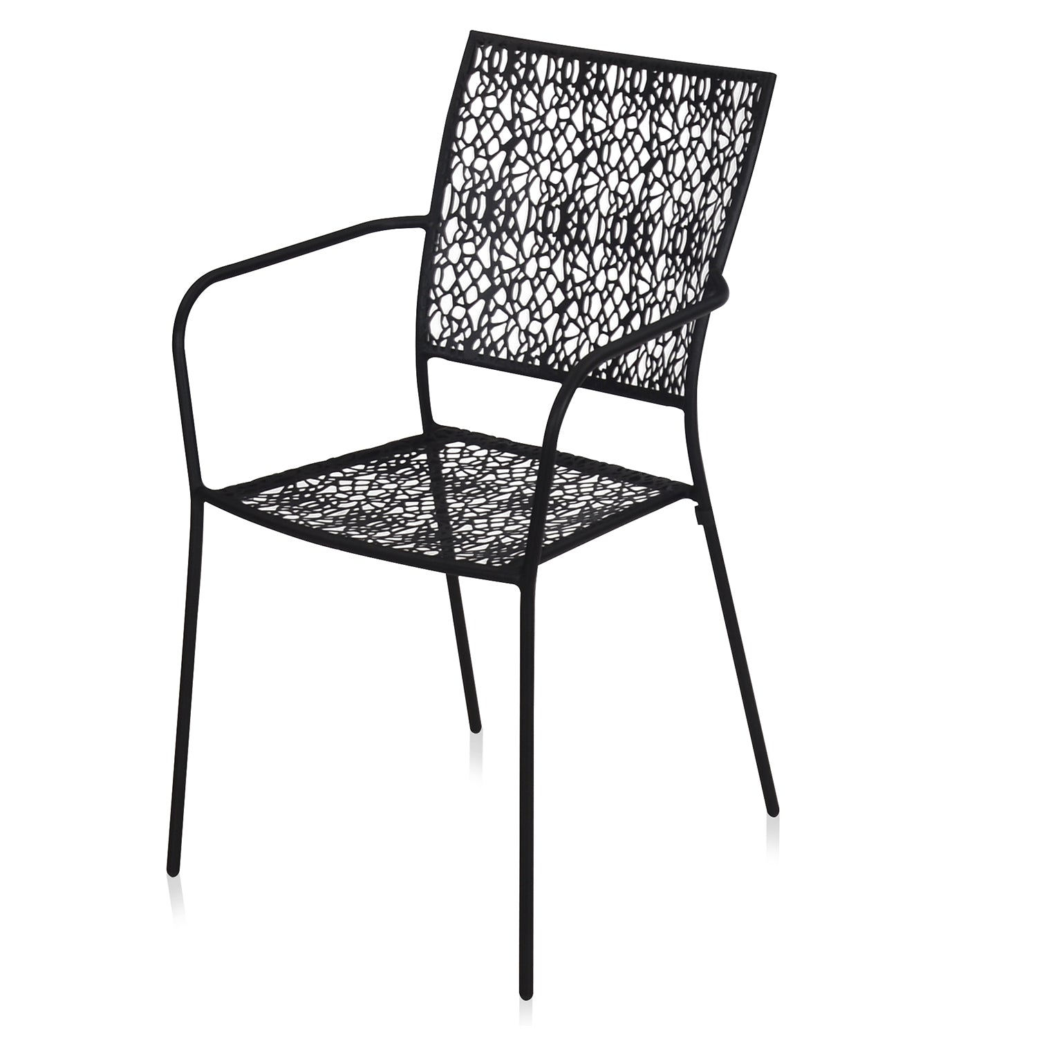 Nilkamal Erinda Metal Living Room Arm Chair (Black)