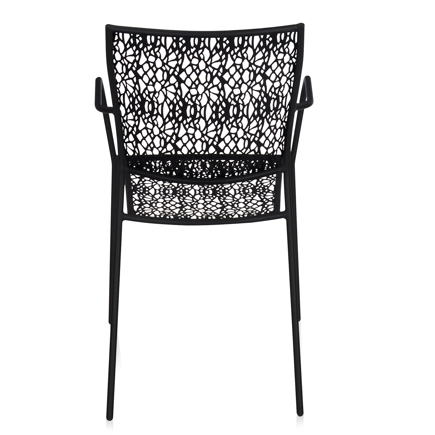 Nilkamal Erinda Metal Living Room Arm Chair (Black)