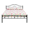 Nilkamal Esca Neo Double Bed (Black)