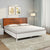 Nilkamal Electra Meta Bed Without Storage (White)