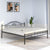 Nilkamal Esca Neo Double Bed (Black)