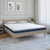 Nilkamal Flora Double Pillow Top 6