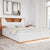 Nilkamal Eternal Queen Bed with Hydraulic Storage (Teak)