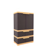 Nilkamal Freedom FMDR 2B Plastic Storage Cabinet with 2 Drawer (Weathered Brown / Biscuit) - Slight Side View-2