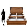 Nilkamal Fremont Engineered Wood King Box Bed (Walnut /  Wenge)
