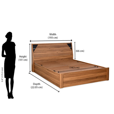 Nilkamal Fremont Engineered Wood King Box Bed (Walnut /  Wenge)