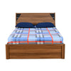 Nilkamal Fremont Engineered Wood King Box Bed (Walnut /  Wenge)
