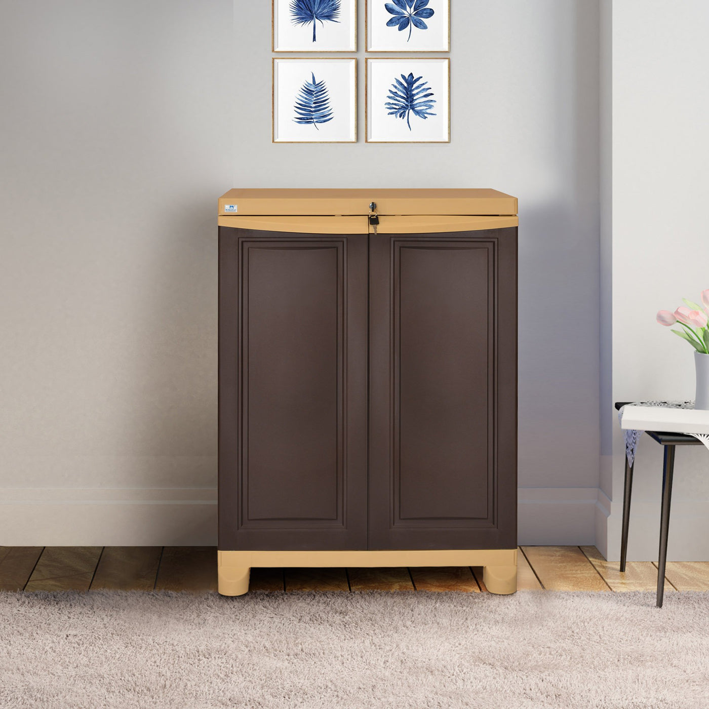 Nilkamal Freedom Small Cabinet (Multicolor)