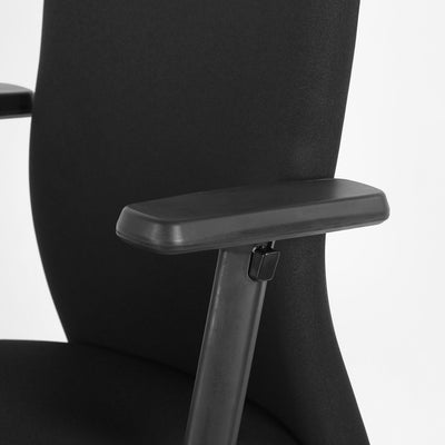 Nilkamal Gary Low Back Chair (Black)