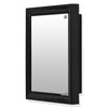 Nilkamal Gem Plastic Cabinet with Mirror (Black)