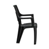 Nilkamal Globe Plastic Arm Chair