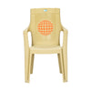 Nilkamal Globe Plastic Arm Chair