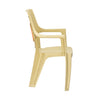 Nilkamal Globe Plastic Arm Chair