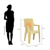 Nilkamal Globe Plastic Arm Chair