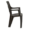 Nilkamal Globe Plastic Arm Chair