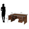 Nilkamal Haiko Office Table (Brown)