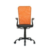 Nilkamal Hanoi Mid Back Office Chair
