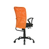 Nilkamal Hanoi Mid Back Office Chair