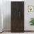 Nilkamal Harrier 2 Door Wardrobe (Wenge)