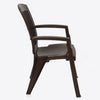 Nilkamal Heritage Plastic Arm Chair (Weather Brown)
