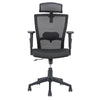 Nilkamal Hexon High Back Mesh with Adjustable Arm Chair (Black)