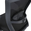 Nilkamal Hexon Mid Back Mesh with Adjustable Arm Chair (Black)