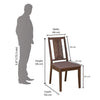 Nilkamal Amber Dining Chair (Wenge)