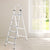 Nilkamal Splendid 6 Steps Ladder (Aluminium)