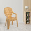 Nilkamal CHR2230 Plastic Arm Chair (Marble Beige)