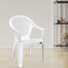 Nilkamal Comfy Plastic Arm Chair