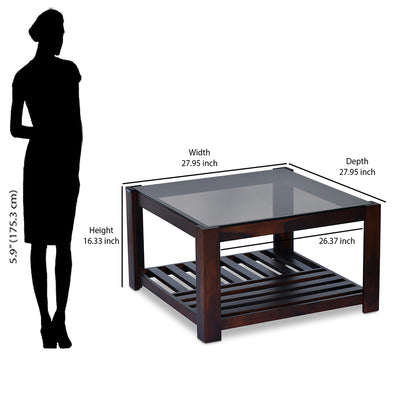 Nilkamal Kylie Glass Top Solid Wood Coffee Table (Walnut)