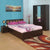 Nilkamal Reegan King Bed (Wenge)