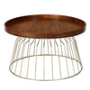 Nilkamal Tamas Coffee Table (Honey Brass)