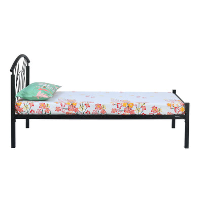 Nilkamal Lucas Neo Metal Single Bed (Black)