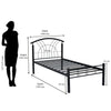 Nilkamal Lucas Neo Metal Single Bed (Black)
