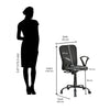 Nilkamal Lusaka Mid Back Office Chair