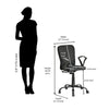 Nilkamal Lusaka Mid Back Office Chair