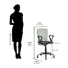 Nilkamal Lusaka Mid Back Office Chair